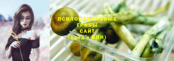 крисы Беломорск