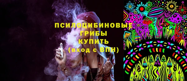 шишки Белоозёрский