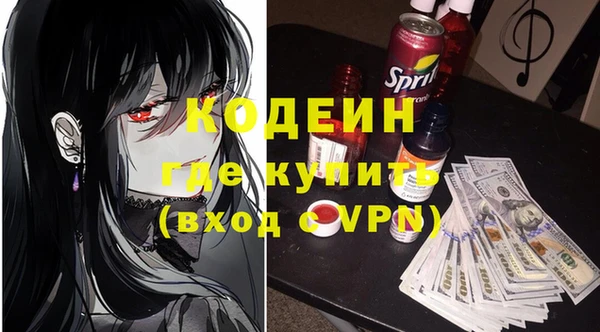 шишки Белоозёрский