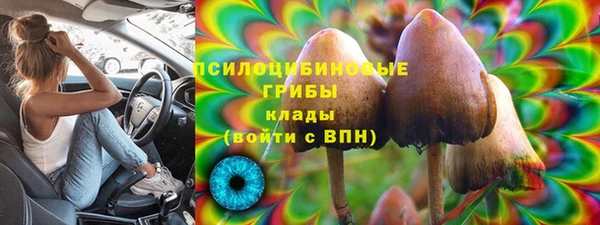 шишки Белоозёрский