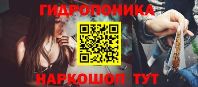 дмт Пушкино