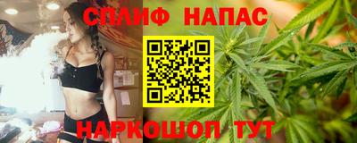 прущие грибы Пыть-Ях