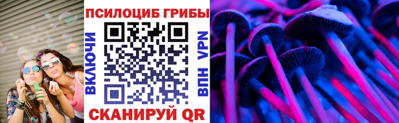 Галлюциногенные грибы Psilocybe  купить наркоту  Бутурлиновка 